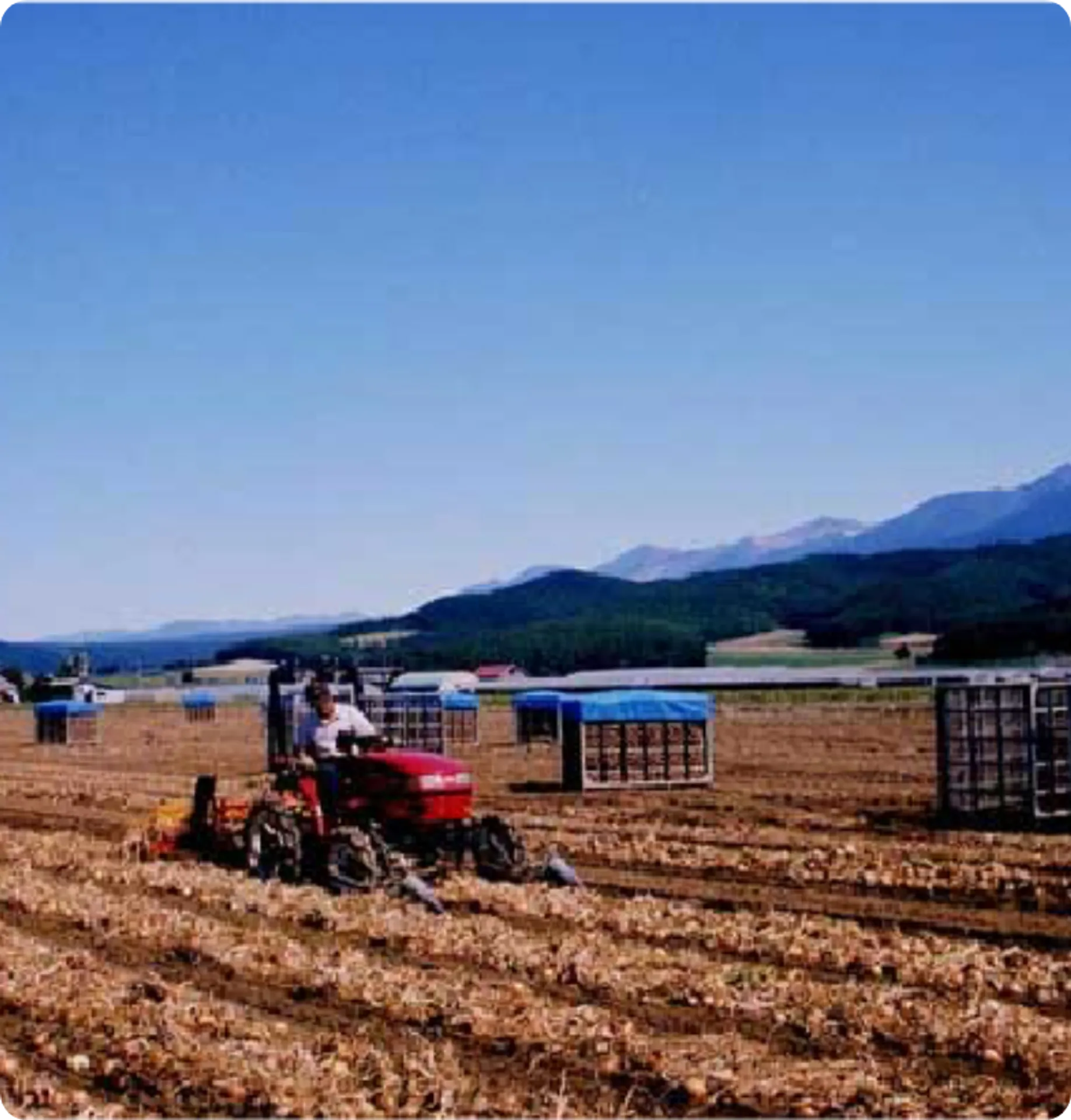 トラクターで収穫作業を行う富良野の農家