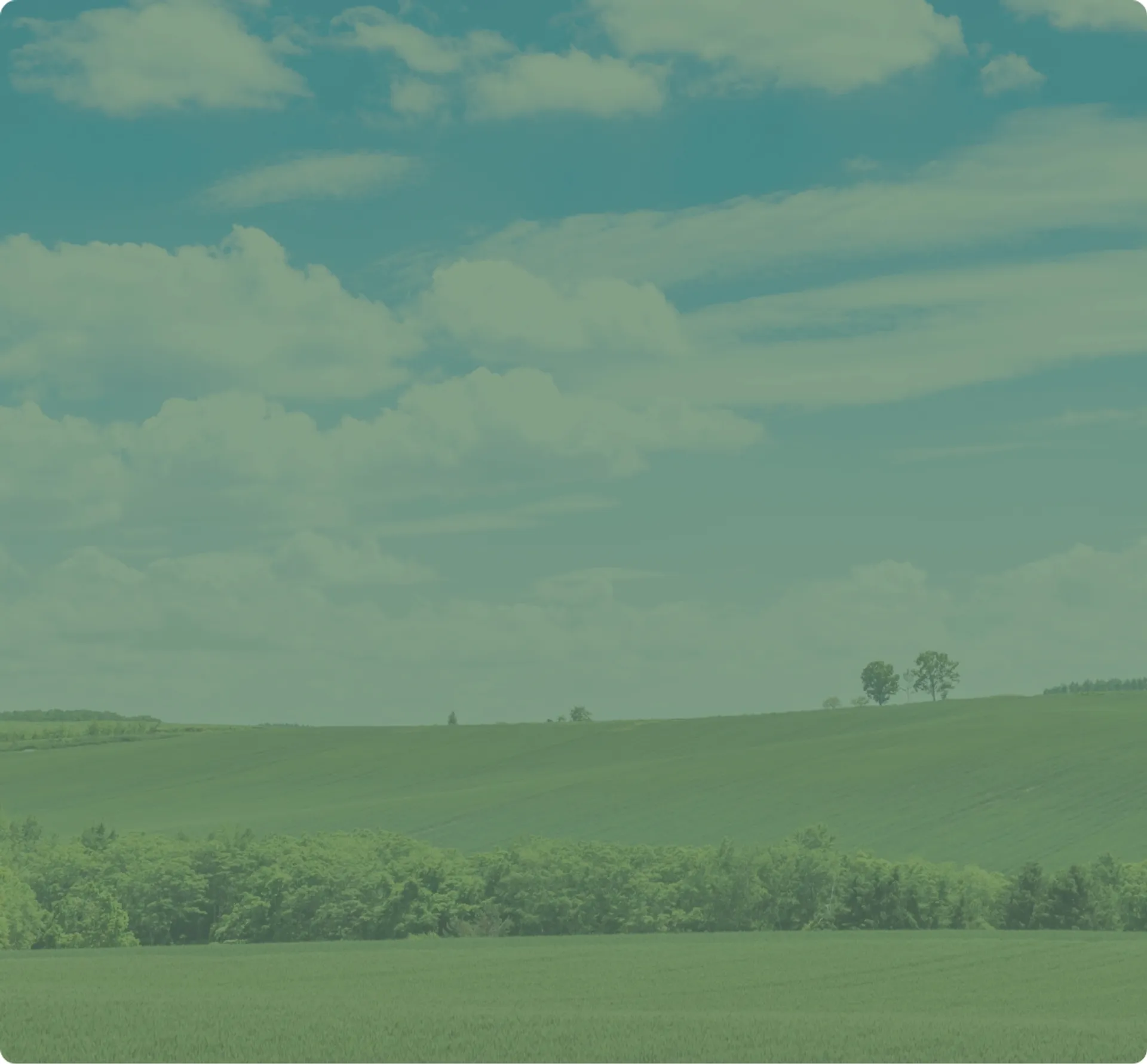 自然と調和する住まい