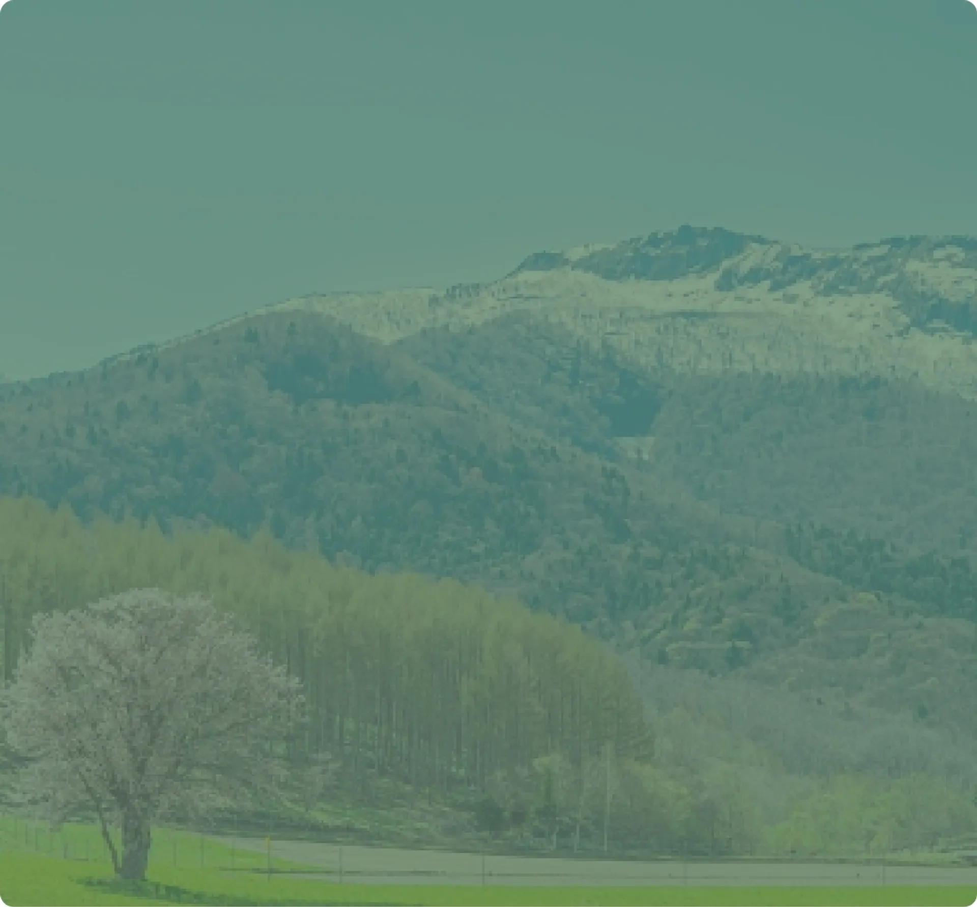 気候に合わせた家づくり