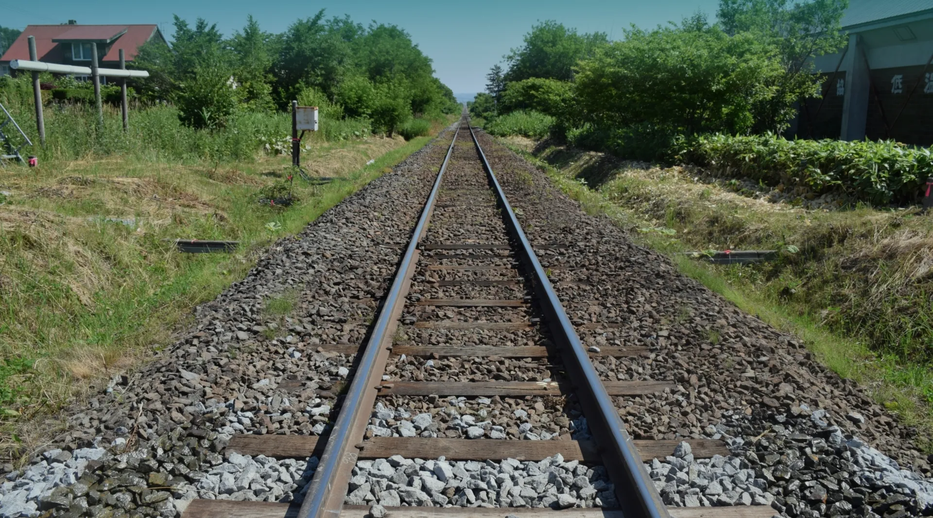 reform-remodeling-head